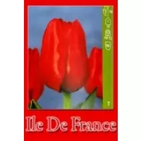 Тюльпаны Lle De France